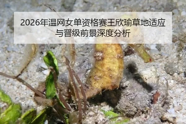 2026年温网女单资格赛王欣瑜草地适应与晋级前景深度分析